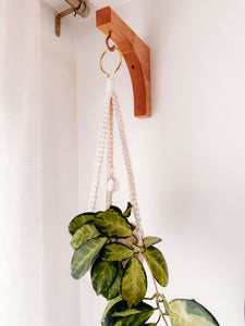 Jardinière Sun Catcher