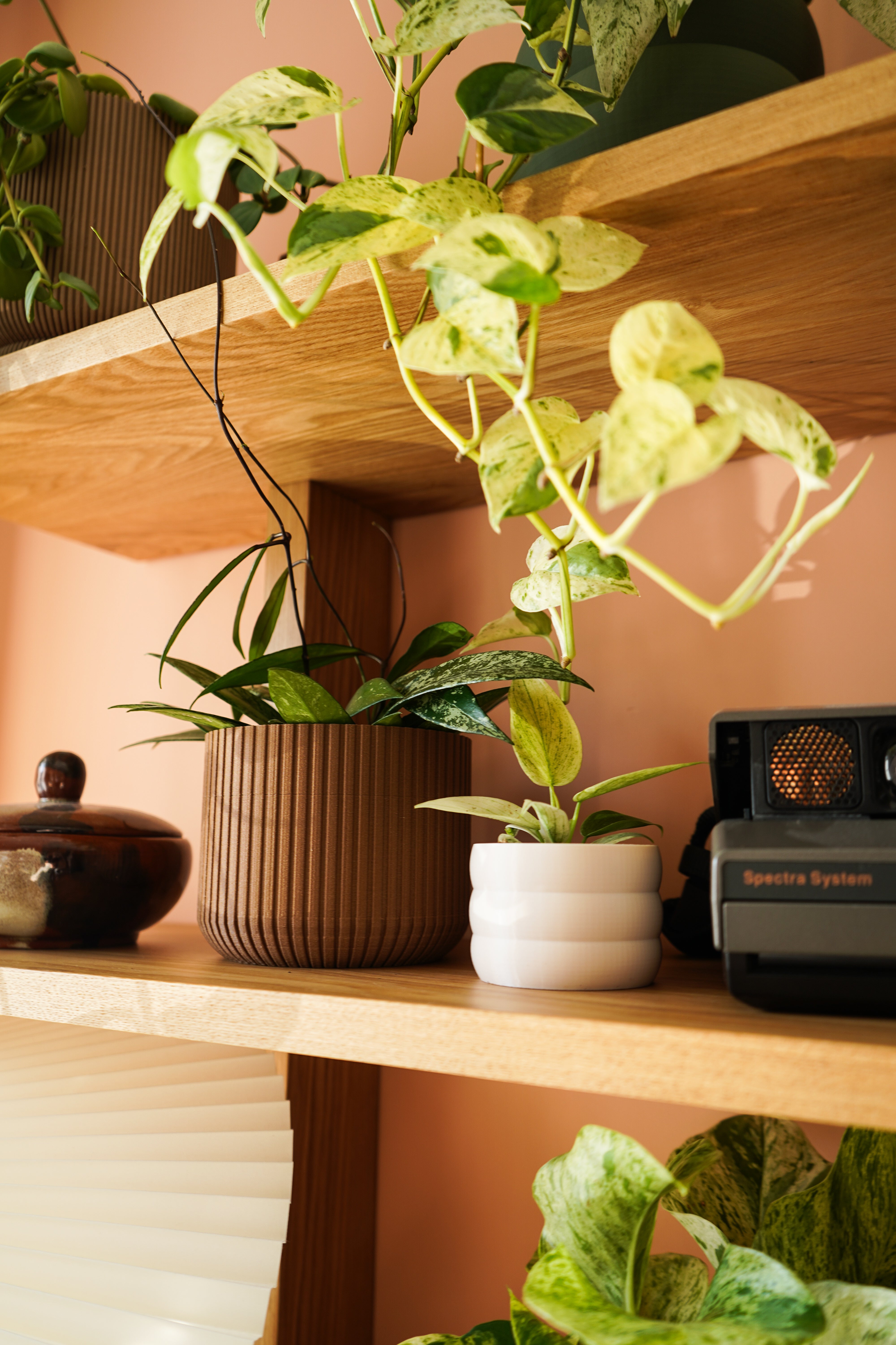 Cache-pot Mini Micheline