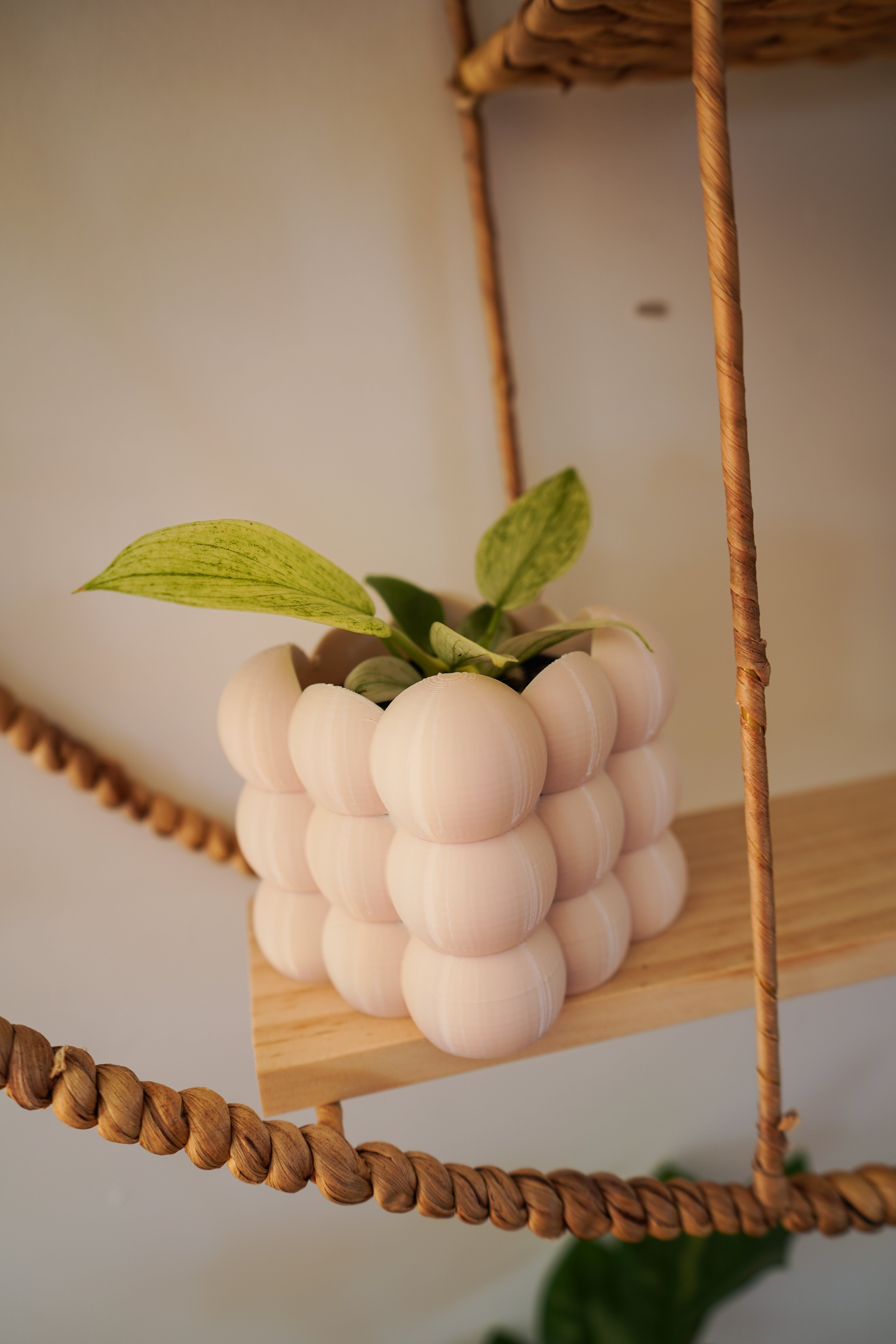 Cache-pots ''les mini boules''