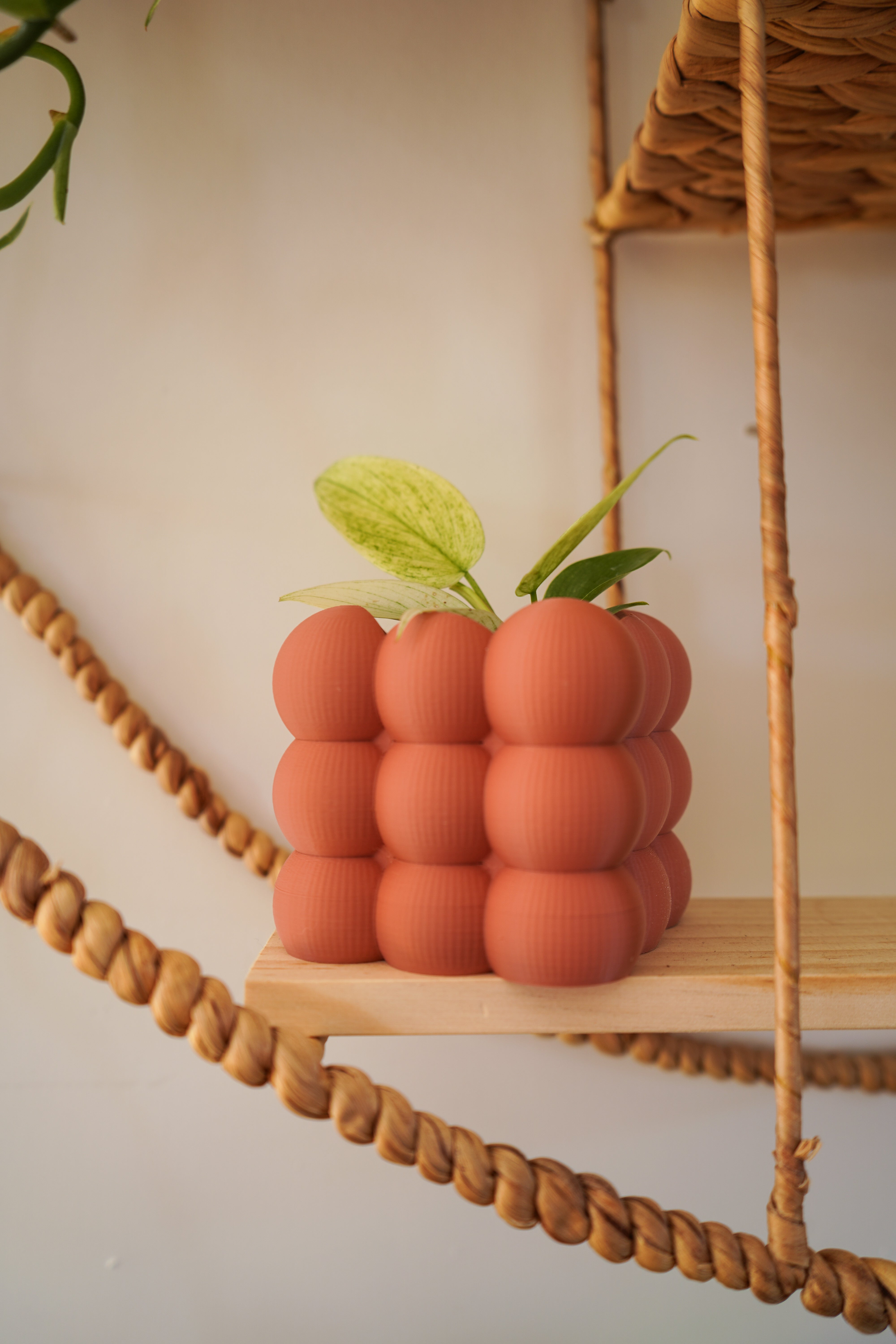 Cache-pots ''les mini boules''