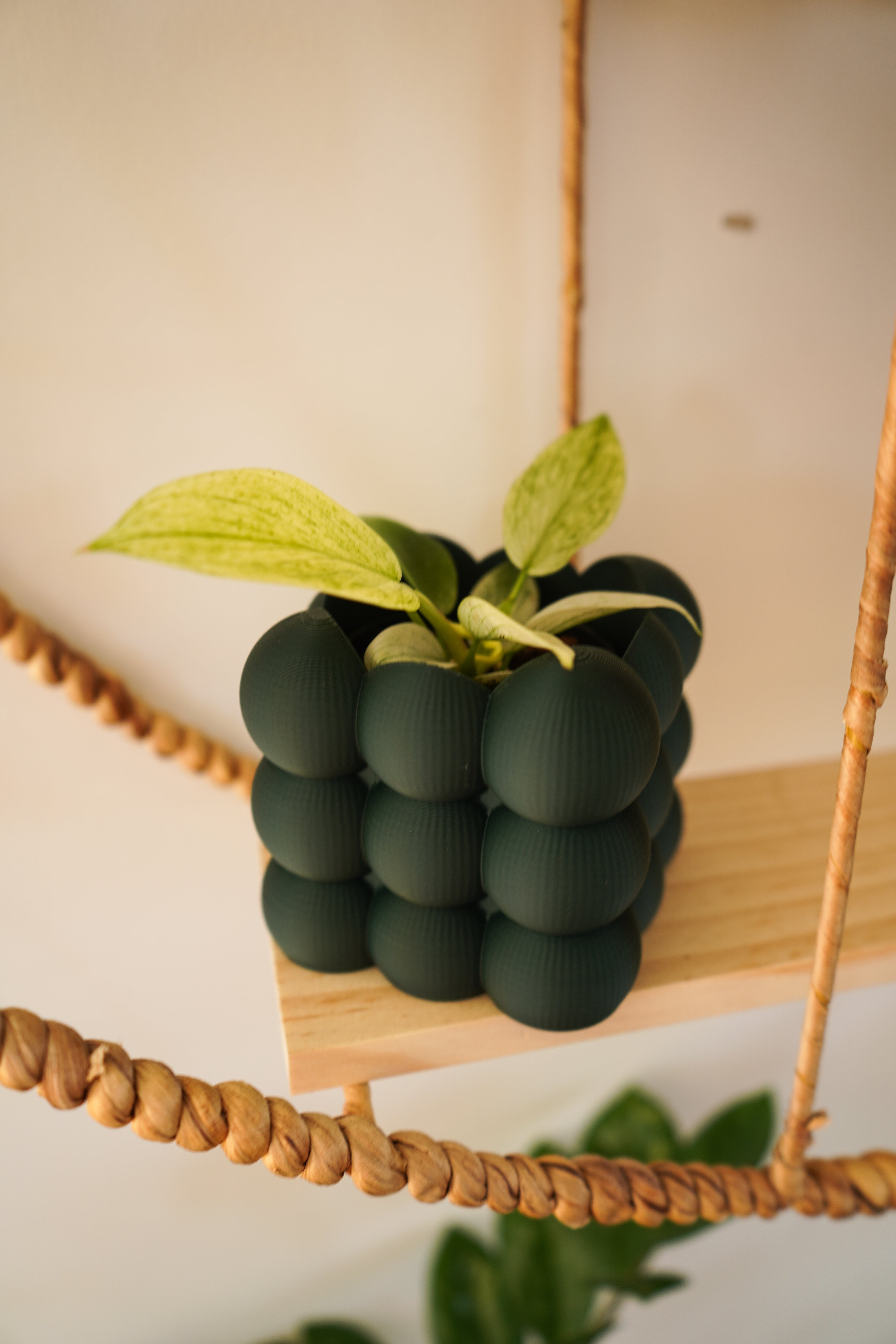 Cache-pots ''les mini boules''