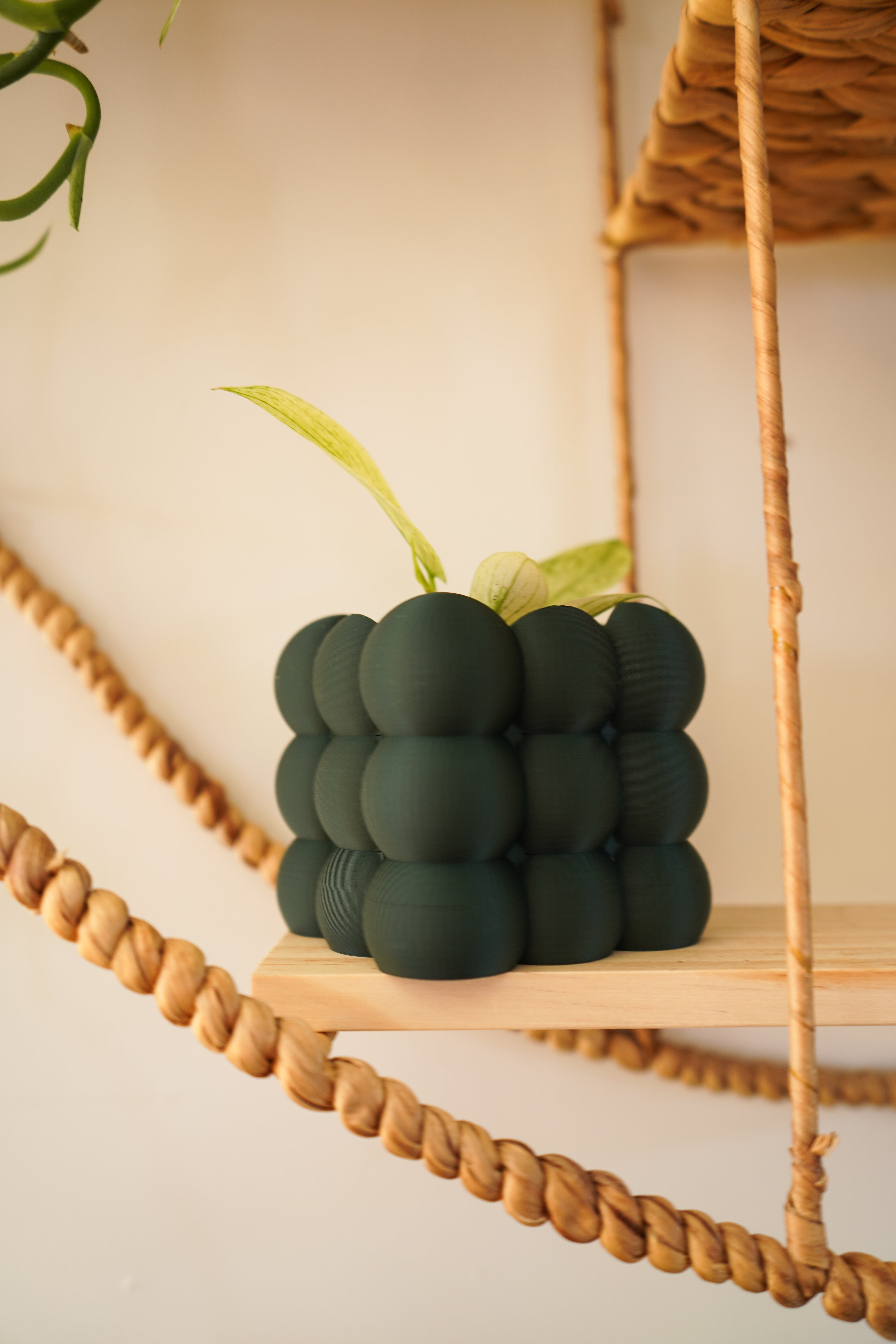 Cache-pots ''les mini boules''