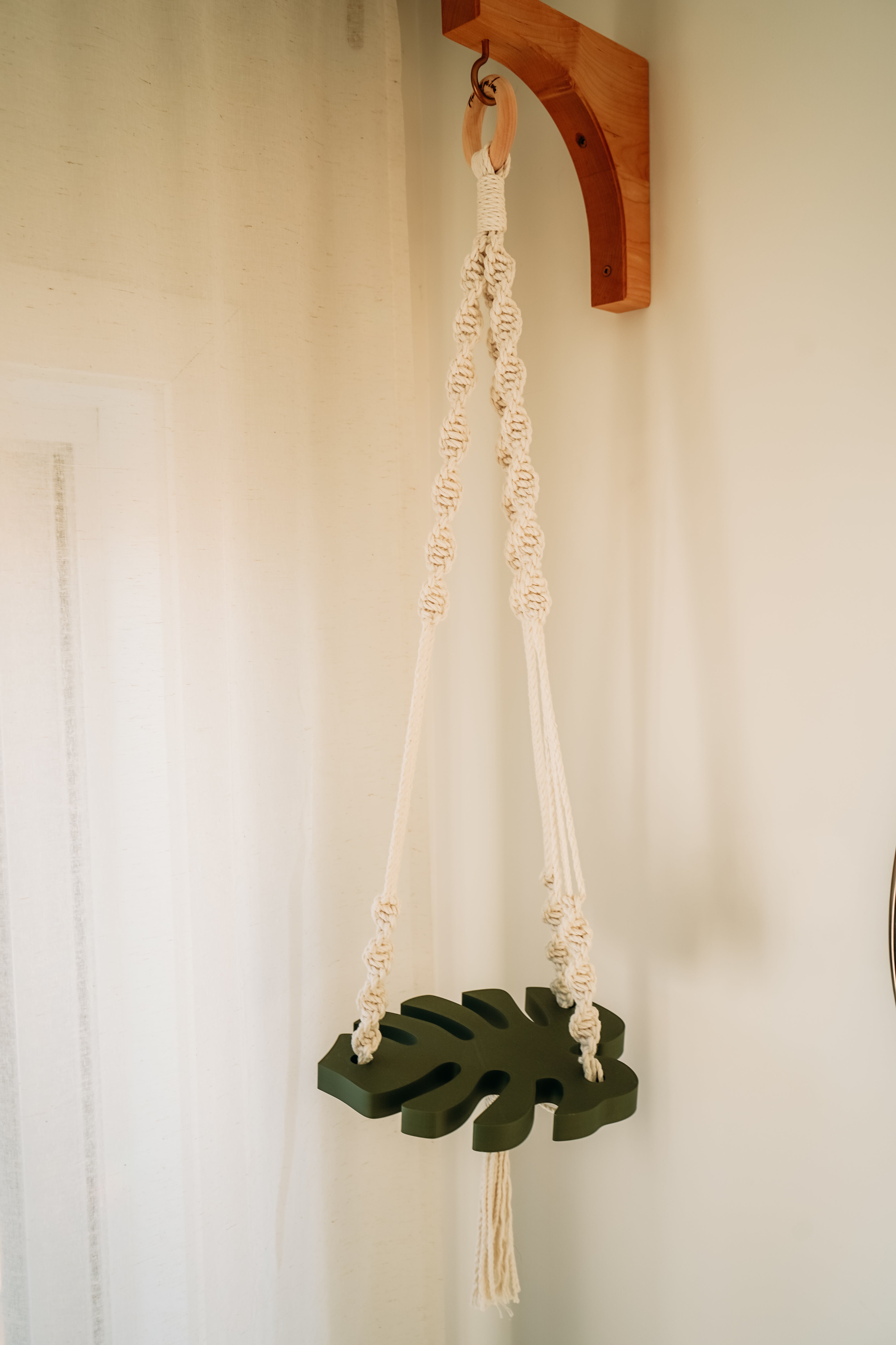 (Nouveau) Jardinière Monstera