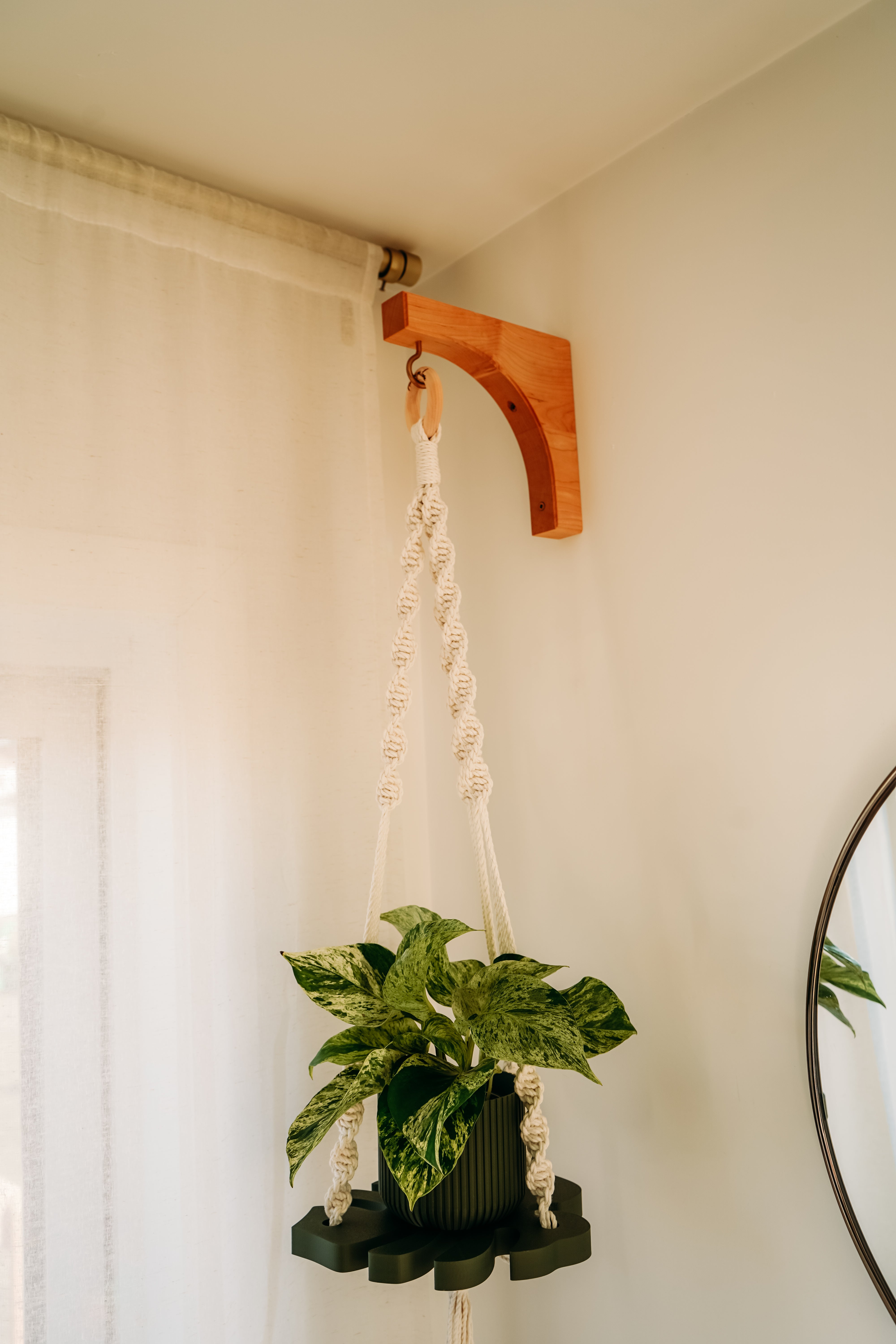 (Nouveau) Jardinière Monstera