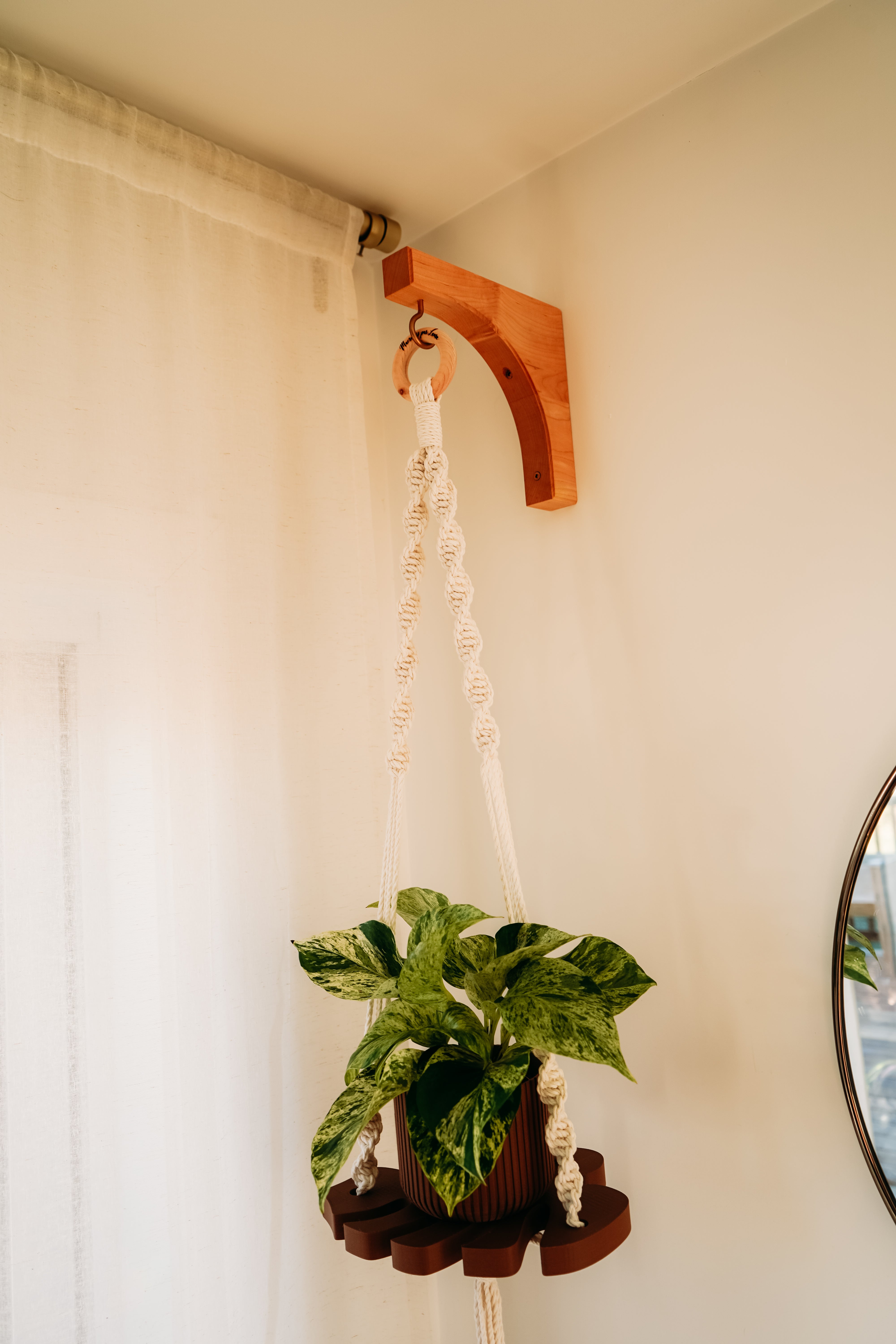 (Nouveau) Jardinière Monstera