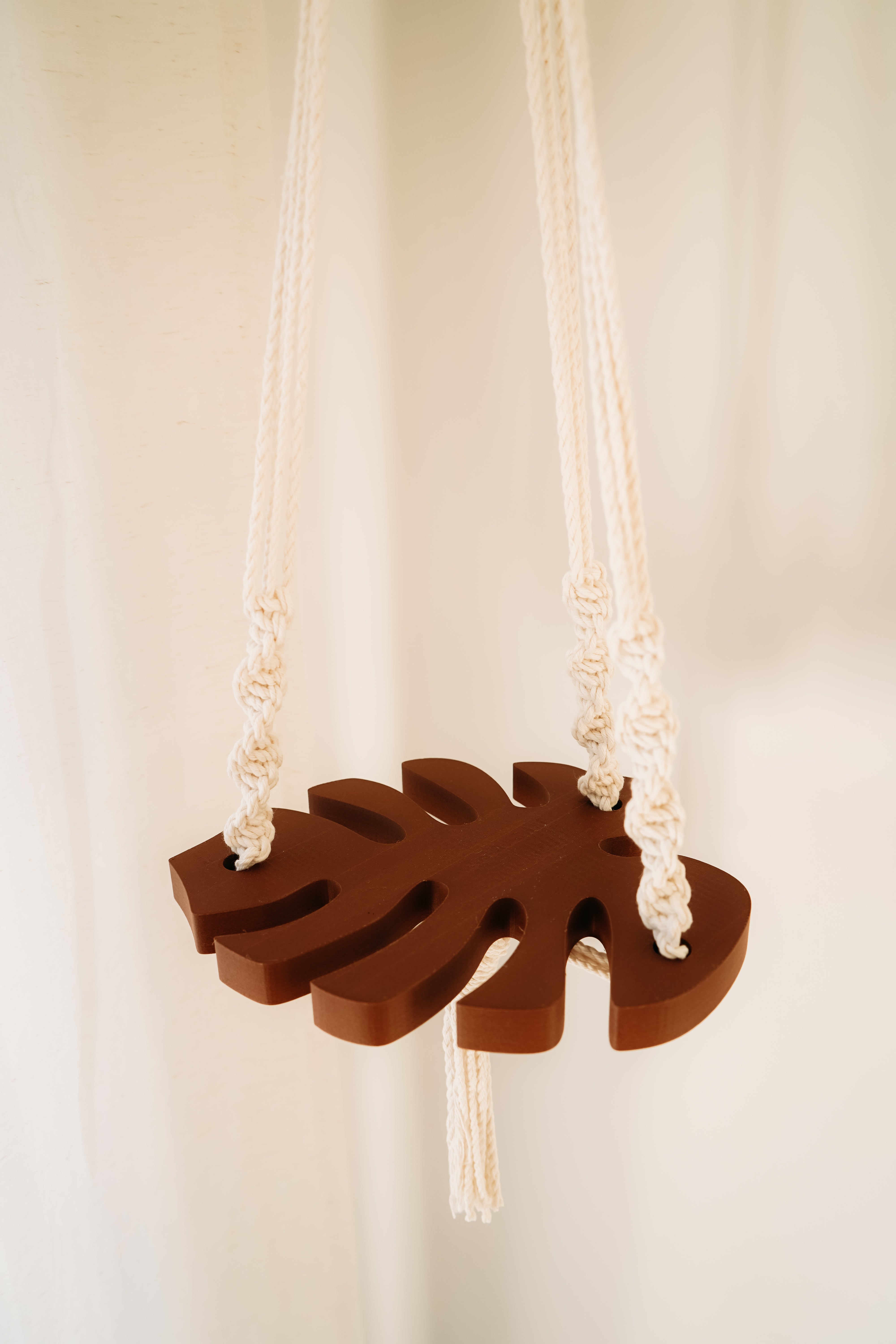 (Nouveau) Jardinière Monstera