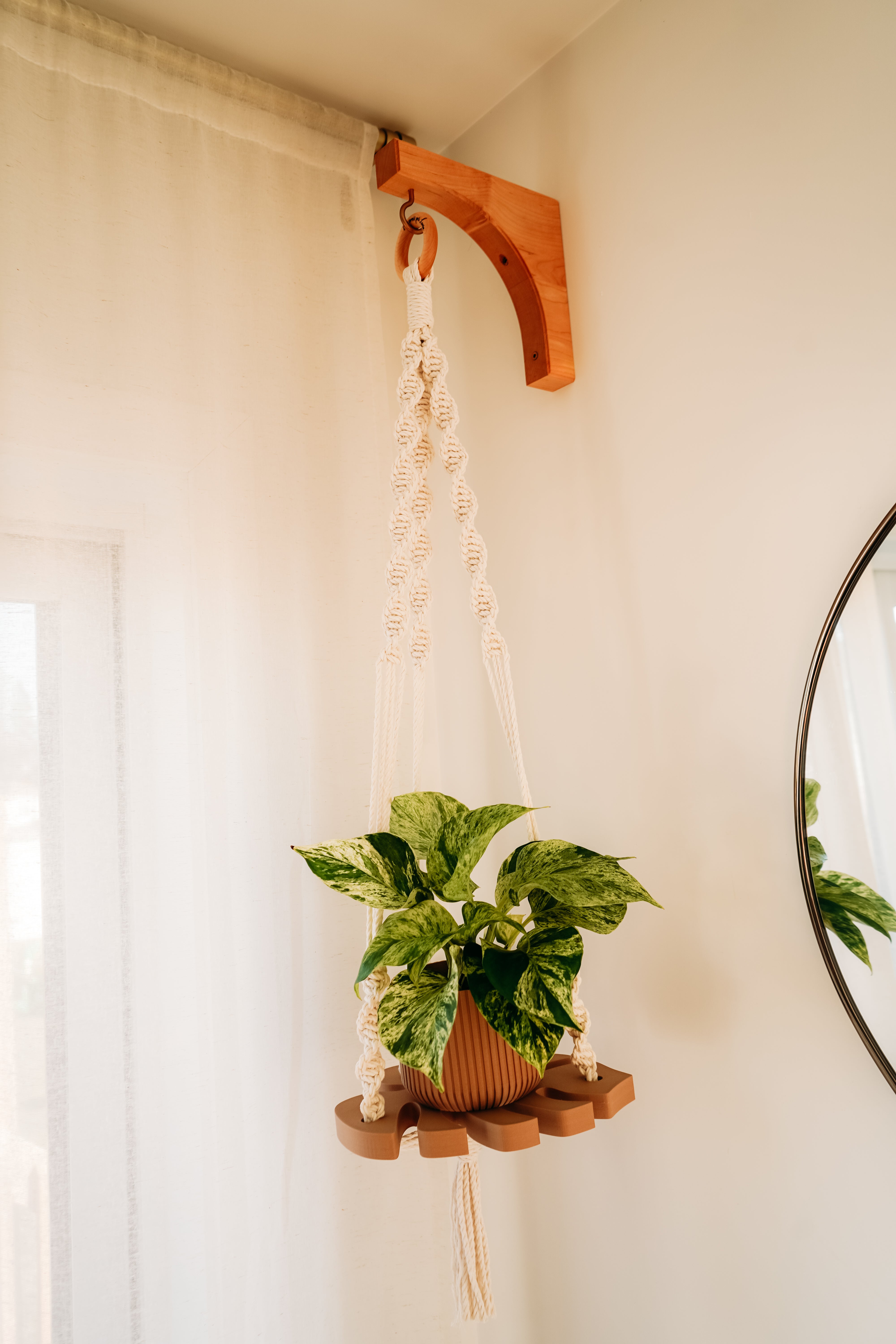 (Nouveau) Jardinière Monstera